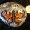 Hand painted rock butterfly