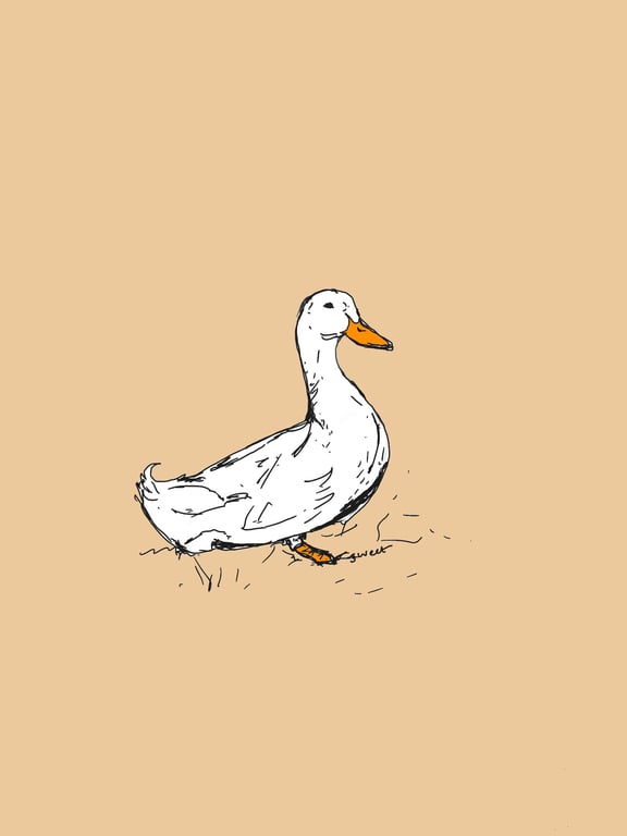 Hand drawn card print ‘Delilah Duck’