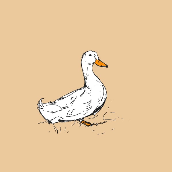 Hand drawn card print ‘Delilah Duck’
