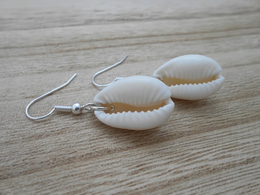Cowrie shell earrings with silver plate finish. Seashell earrings.