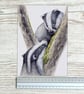 Scottish Badger Art Print - wildlife illustration from original watercolours - Image 4