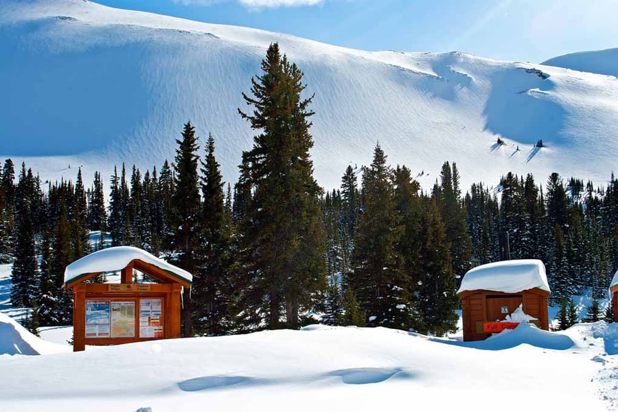 Canadian Rocky Mountains Icefields Parkway Canada Photograph Print