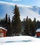 Canadian Rocky Mountains Icefields Parkway Canada Photograph Print - Image 1