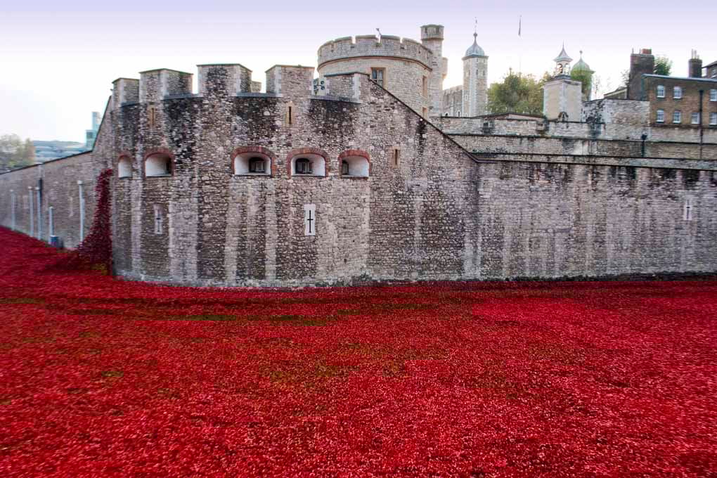 Tower Of London Poppies Red Poppy Photograph Print