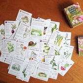 Garden Match Cards