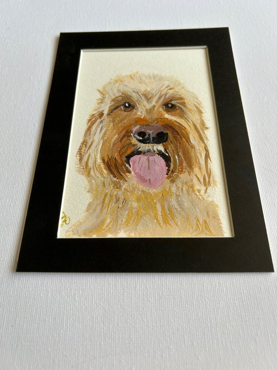 Poodle type original painting. 5x7" 