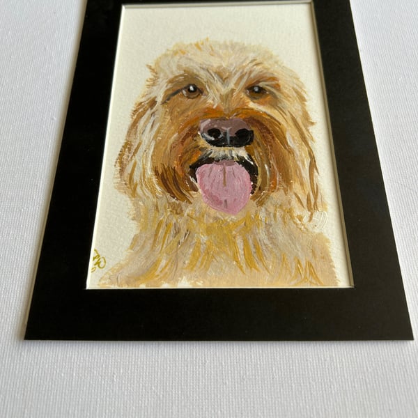 Poodle type original painting. 5x7" 