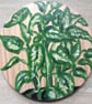"My House Plants" handpainted wooden coasters, set of 4 with holder - Image 3