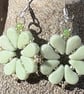 Petite Paisley Beaded Earring - pale green - Image 2