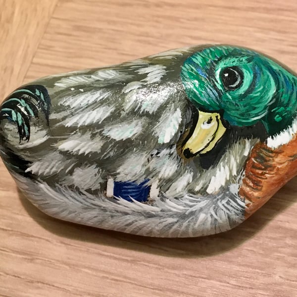 Duck hand painted pebble garden rock art pet wildlife portrait stone 