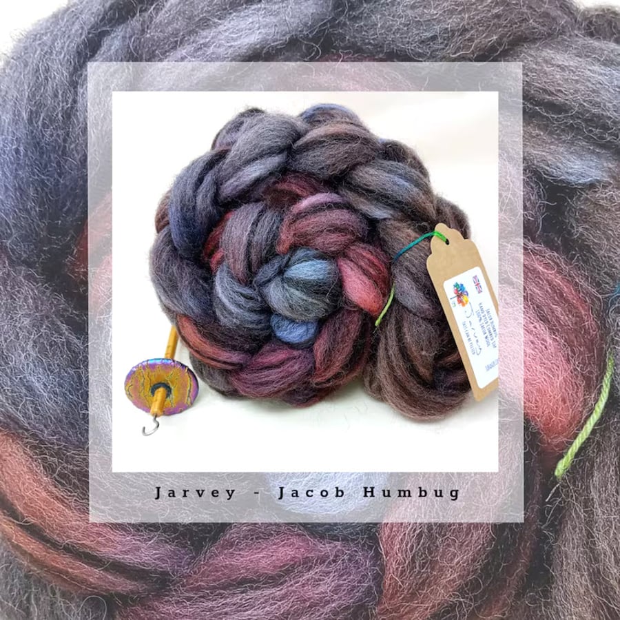 Jarvey Hand Dyed Jacob Humbug Combed Wool Top 100g Braid felting spinning Yarn