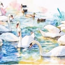 Swan & Ducks Norfolk Greeting Card A5