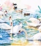 Swan & Ducks Norfolk Greeting Card A5