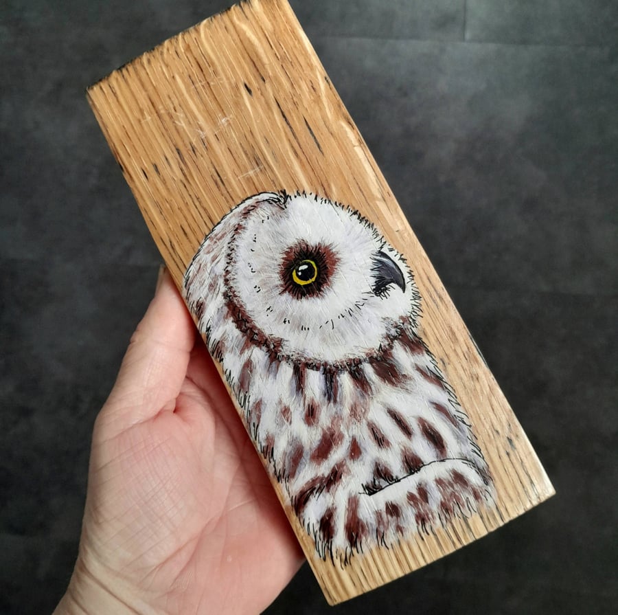 Hand Painted Reclaimed Whisky Barrel Stave - Owl