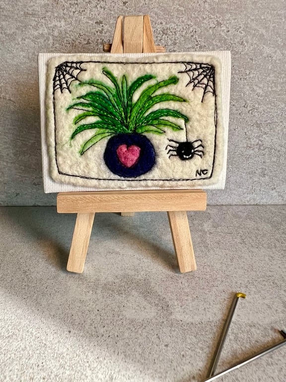 Spider plant (2)