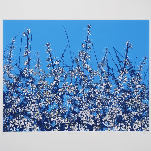 Blackthorn Blossom, original hand-pulled screen print