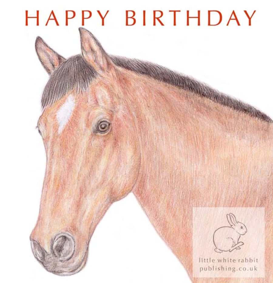 Bracken the Brown Horse - Birthday Card