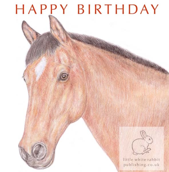 Bracken the Brown Horse - Birthday Card