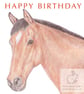 Bracken the Brown Horse - Birthday Card - Image 1