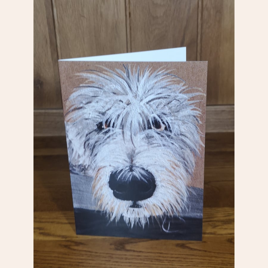 Scruffy Dog Greeting Card