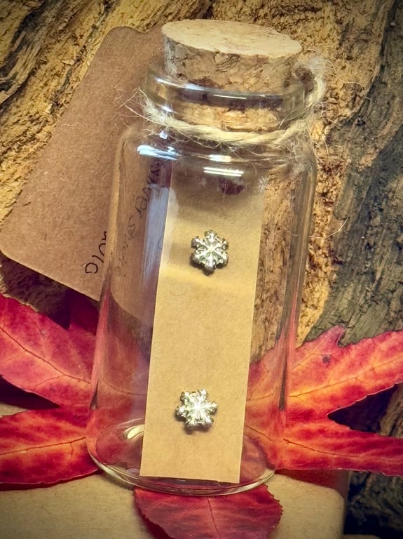 Tiny snowflake silver stud earrings 