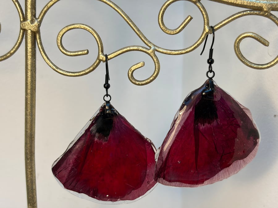 Cornish Poppy earrings 