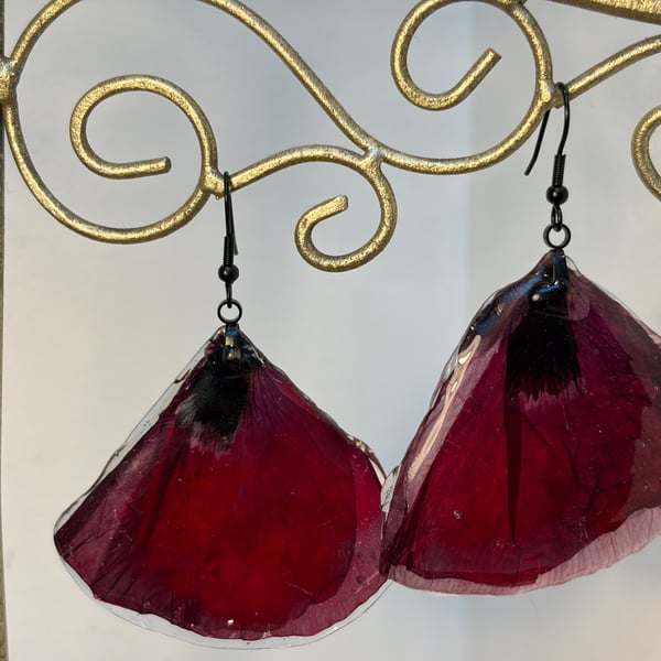 Cornish Poppy earrings 