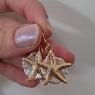 Seashell Beach Coastal Gold Plated Drop Earrings