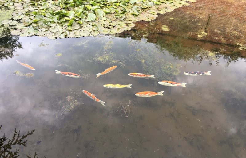 The Studio @ Burlingham Hall