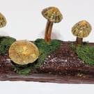Pretty mushroom log made from re-cycled wood with driftwood and limpet shells