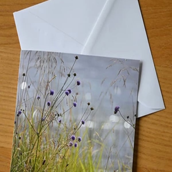 Greetings Card. Scottish Wildflowers at Loch Achray. Blank for your own message.