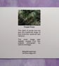 Purple Pines Vibrant Christmas Card - Image 3