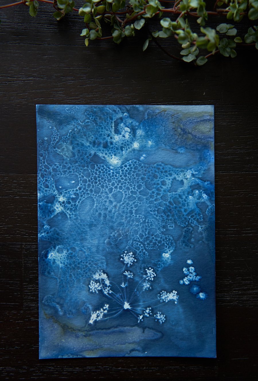 Mini handmade original wet cyanotype size A6 or 4.1x5.8 inches fennel 4