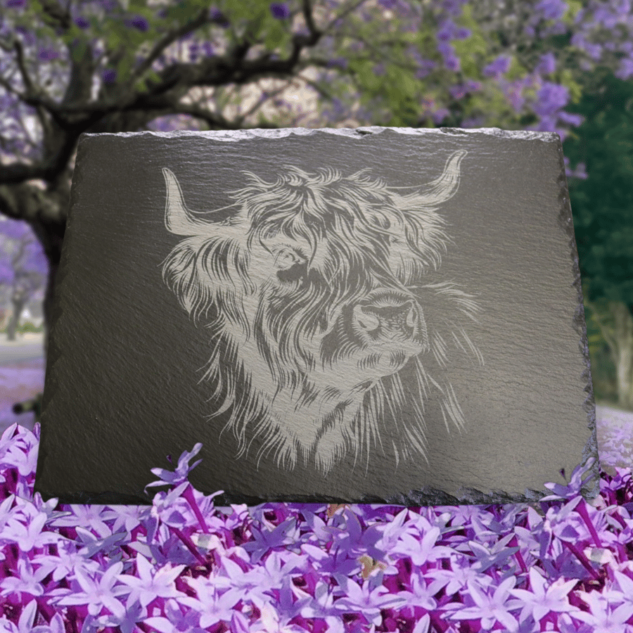 4 pack slate Highland stag dinner mats 