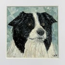 Collie Collage