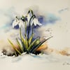 Snowdrops, Original Watercolour Painting.