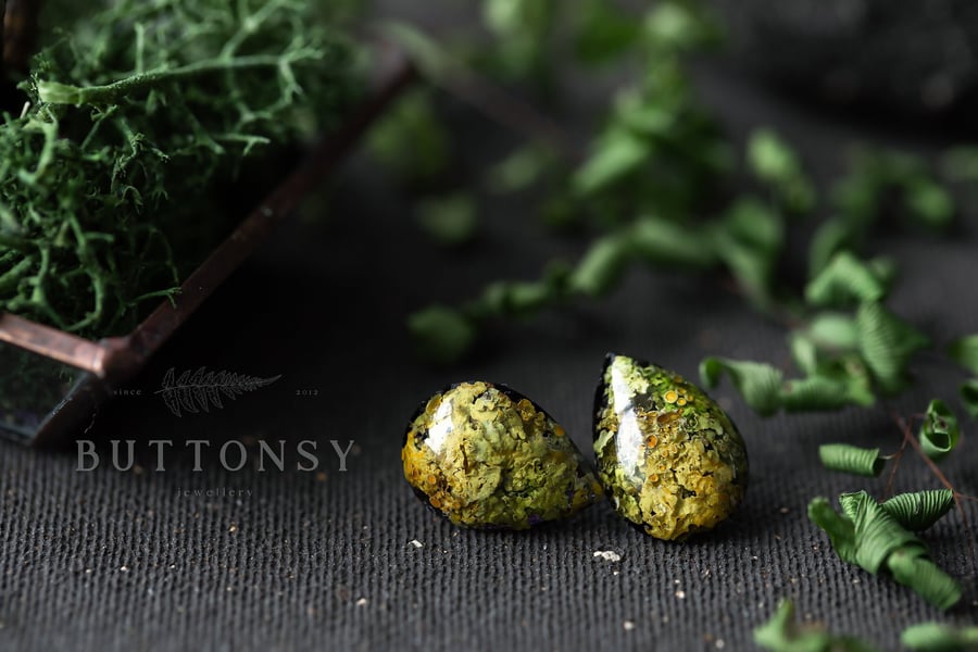 Lichen Earrings Teardrop Studs Botanical Jewellery Pressed Flowers Boho Jewelry 