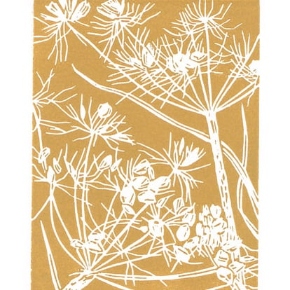 Cow Parsley Seedhead - Original Linocut Print