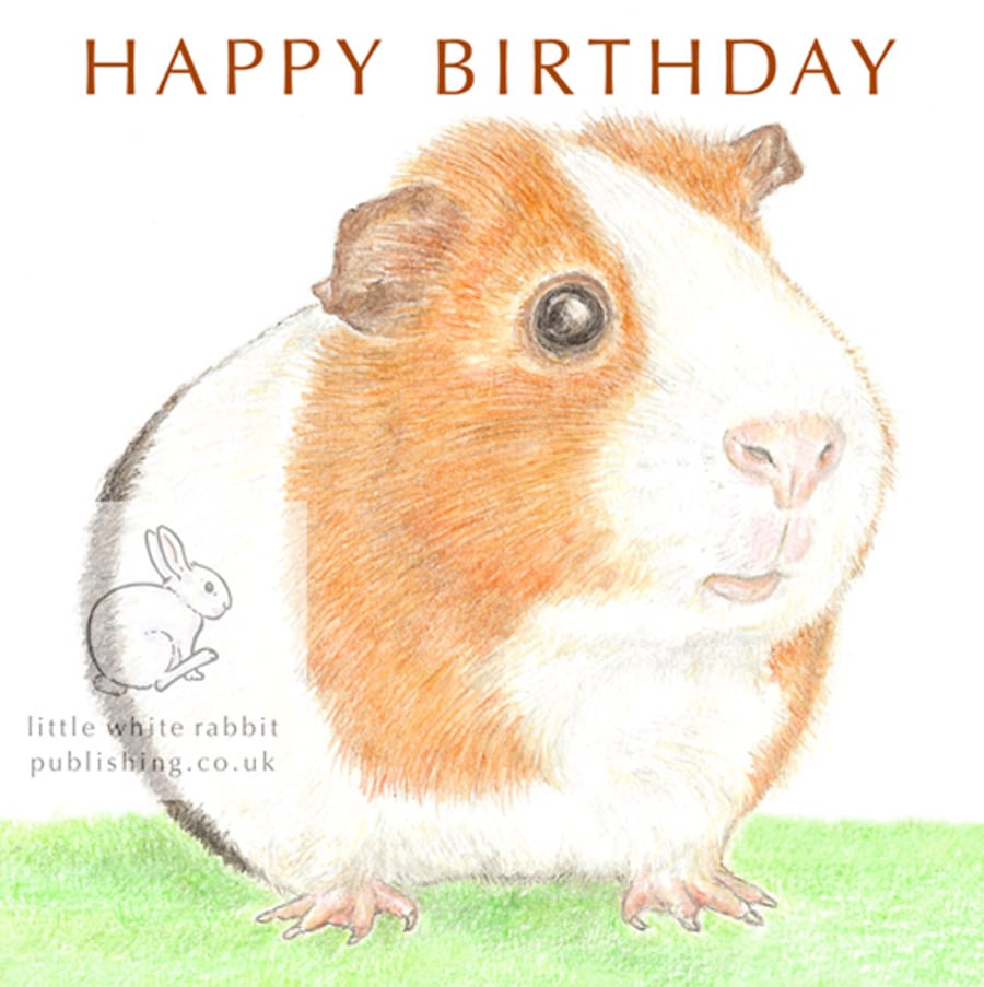 Gilbert the Guinea Pig - Birthday Card