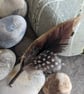 Feather hat trim - Image 1