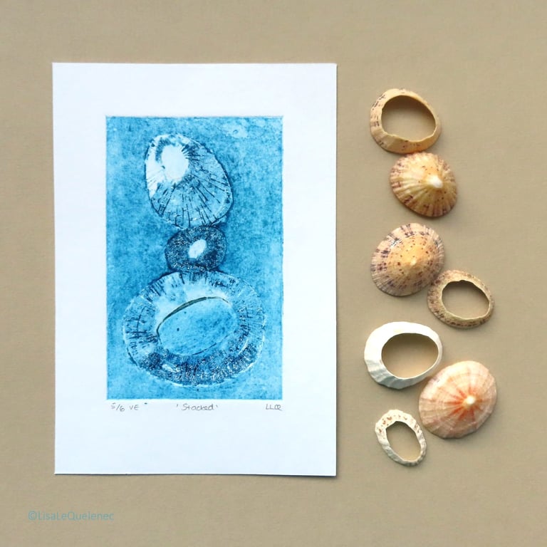 no. 5 of 6 stacked limpet shells limited edition collagraph print