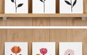 Note Cards - Pack of 6