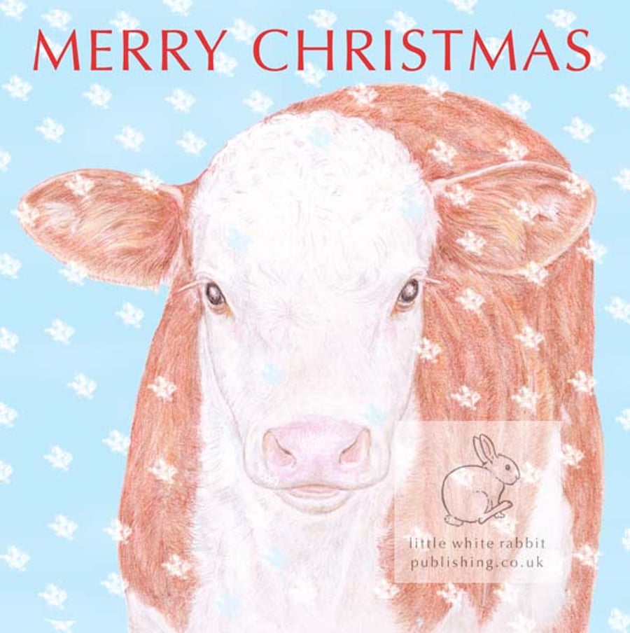 Hereford Calf - Christmas Card