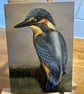 5x7 inch Kingfisher Card