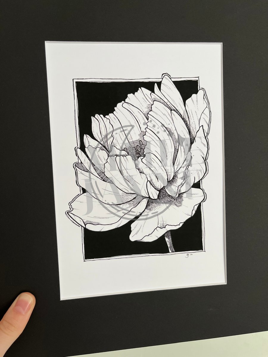 Original A5 Artwork Print - Peony 2.0 - Folksy