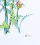 Red Poppy Original Flower Watercolour Painting Contemporary Botanical Art - Image 8
