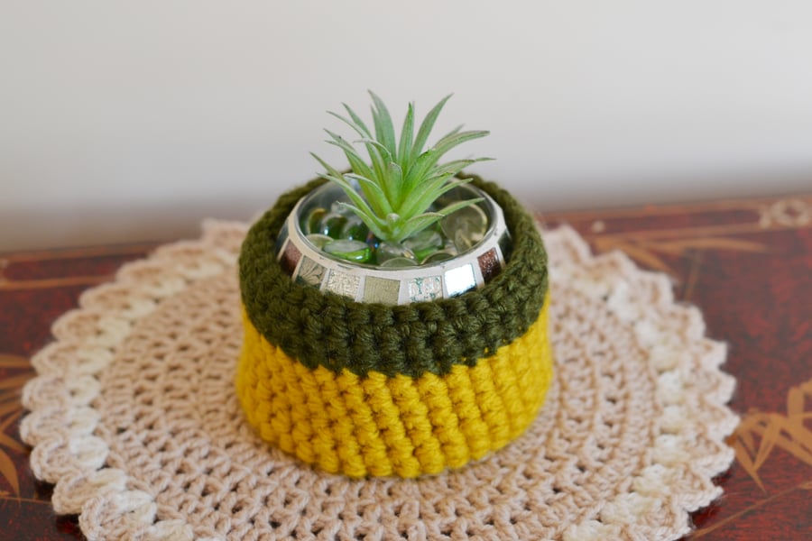 Hand Crochet Bowl For Plants and Other Items