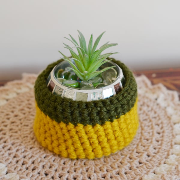 Hand Crochet Bowl For Plants and Other Items