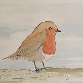 Robin - pen, ink and watercolour of this popular little garden bird