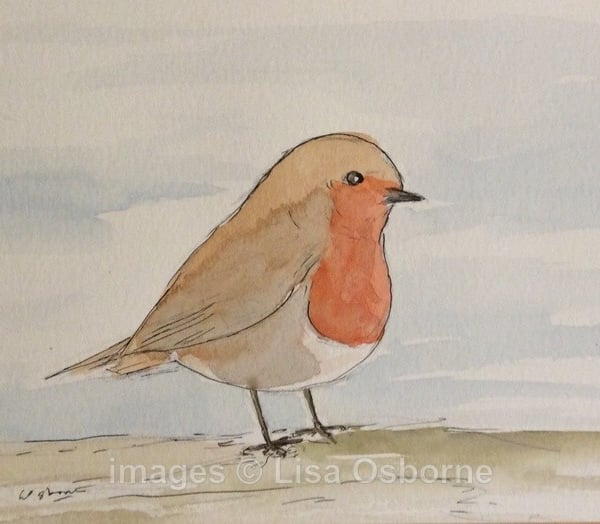 Robin - pen, ink and watercolour of this popular little garden bird
